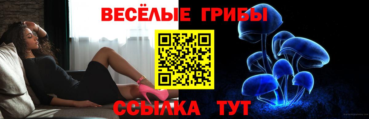 Галлюциногенные грибы GOLDEN TEACHER  Псилоцибиновые грибы MAGIC MUSHROOMS  Ульяновск  Вход с VPN 